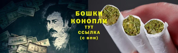 хмурый Покачи