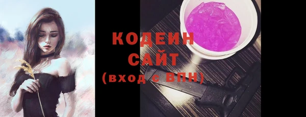 хмурый Покачи