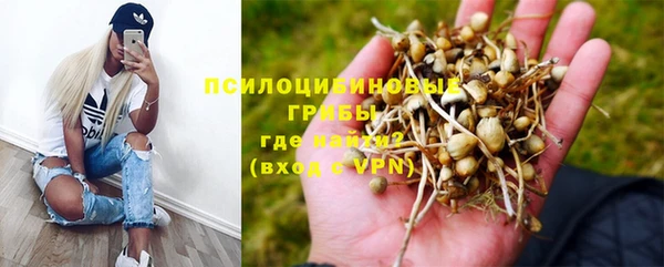 винт Алексин